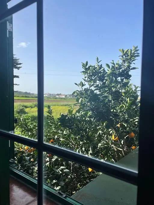 Holiday home La Macadamia Villa La Laguna  Spain
